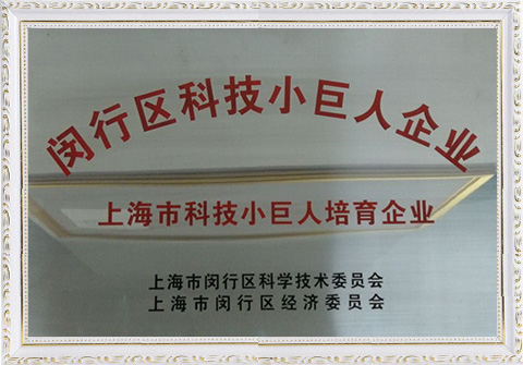 Shanghai Science & Technology Little Giant Cultivation Enterprise